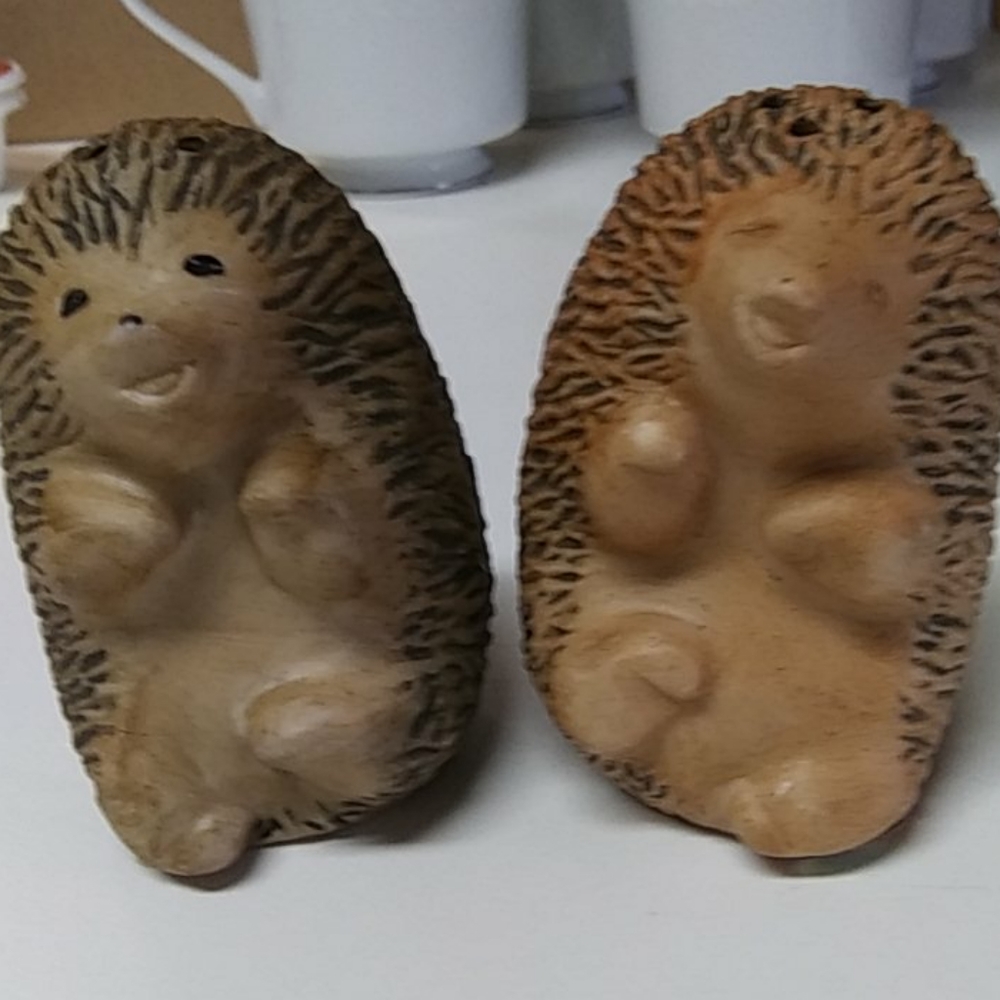 Hedgehog salt & pepper shakers